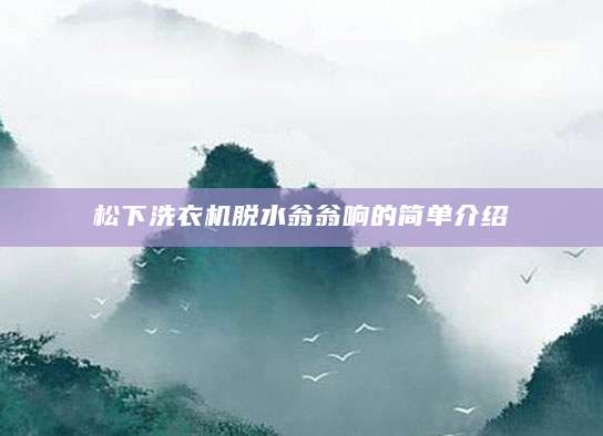 松下洗衣机脱水翁翁响的简单介绍