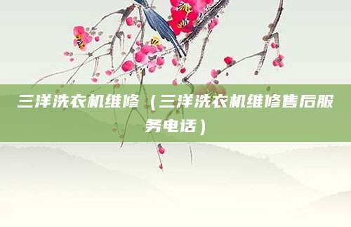三洋洗衣机维修(三洋洗衣机维修售后服务电话)