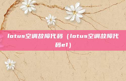 lotus空调故障代码（lotus空调故障代码e1）
