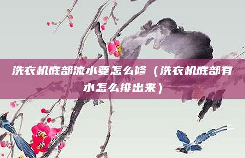 洗衣机底部流水要怎么修（洗衣机底部有水怎么排出来）