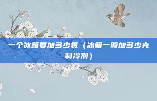一个冰箱要加多少氟（冰箱一般加多少克制冷剂）