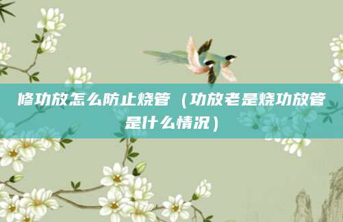 修功放怎么防止烧管（功放老是烧功放管是什么情况）