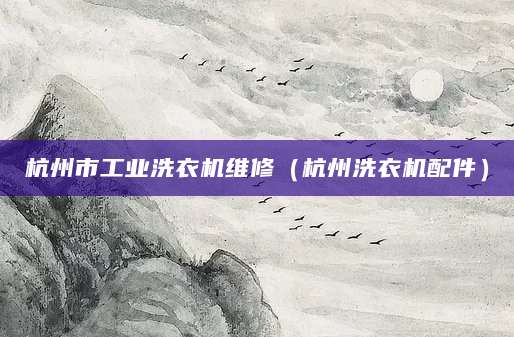 杭州市工业洗衣机维修（杭州洗衣机配件）