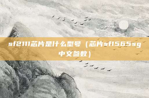 sf2111芯片是什么型号(芯片sf1565sg中文参数)