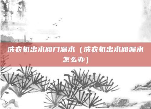 洗衣机出水阀门漏水(洗衣机出水阀漏水怎么办)