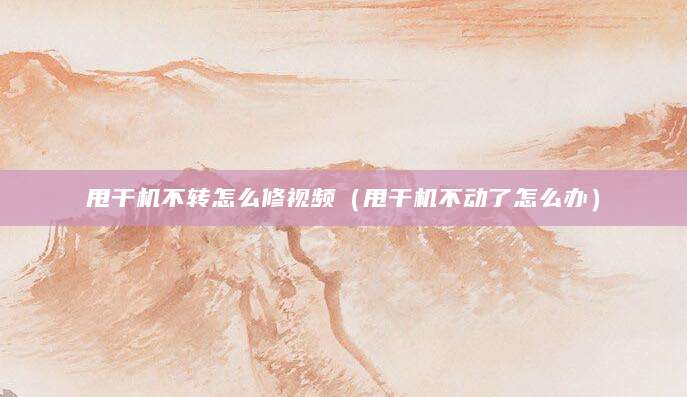 甩干机不转怎么修视频（甩干机不动了怎么办）