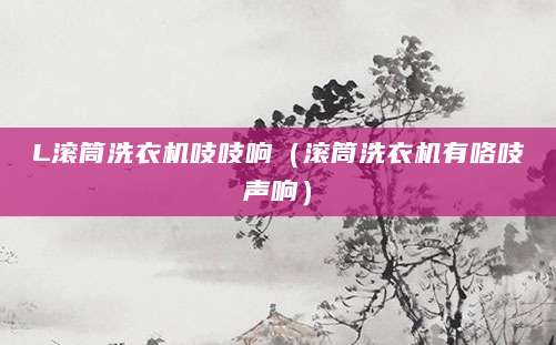 L滚筒洗衣机吱吱响（滚筒洗衣机有咯吱声响）