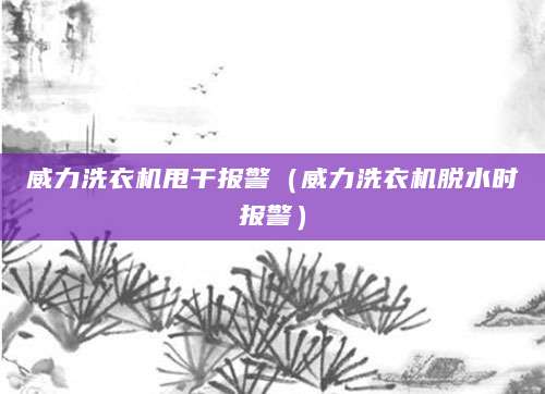 威力洗衣机甩干报警(威力洗衣机脱水时报警)