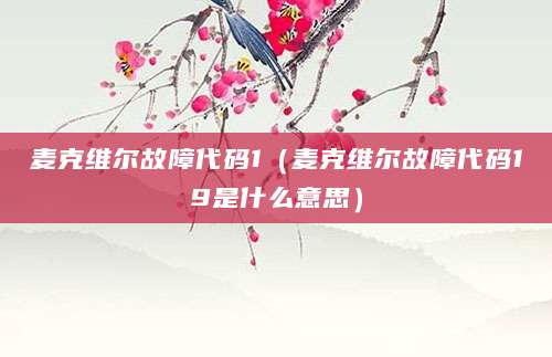 麦克维尔故障代码1（麦克维尔故障代码19是什么意思）