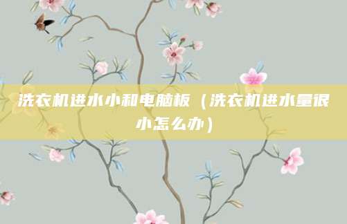 洗衣机进水小和电脑板（洗衣机进水量很小怎么办）