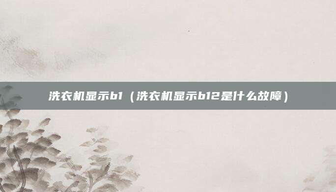 洗衣机显示b1（洗衣机显示b12是什么故障）