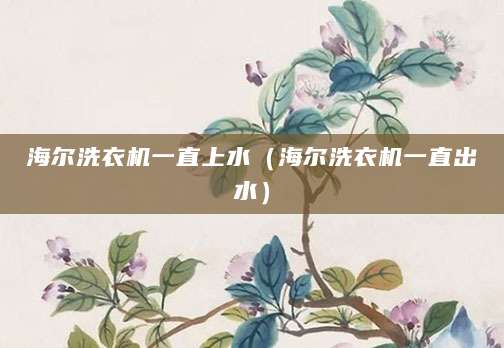海尔洗衣机一直上水（海尔洗衣机一直出水）