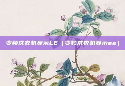 变频洗衣机显示LE（变频洗衣机显示ee）