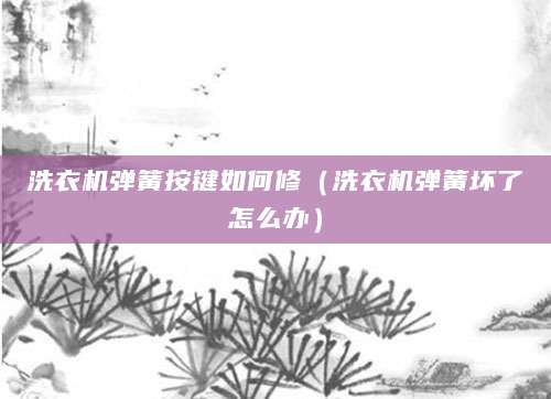 洗衣机弹簧按键如何修（洗衣机弹簧坏了怎么办）