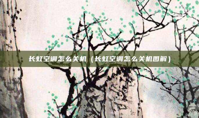 长虹空调怎么关机（长虹空调怎么关机图解）