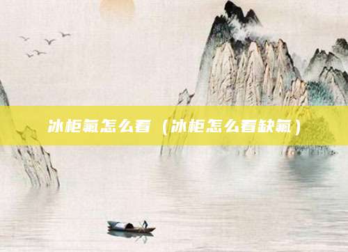 冰柜氟怎么看（冰柜怎么看缺氟）