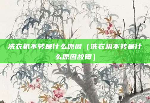 洗衣机不转是什么原因（洗衣机不转是什么原因故障）