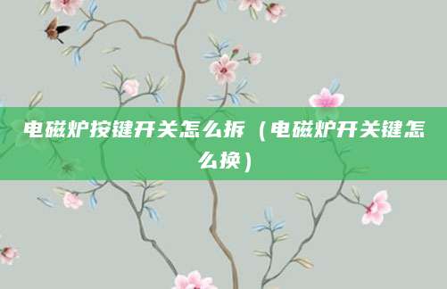 电磁炉按键开关怎么拆（电磁炉开关键怎么换）