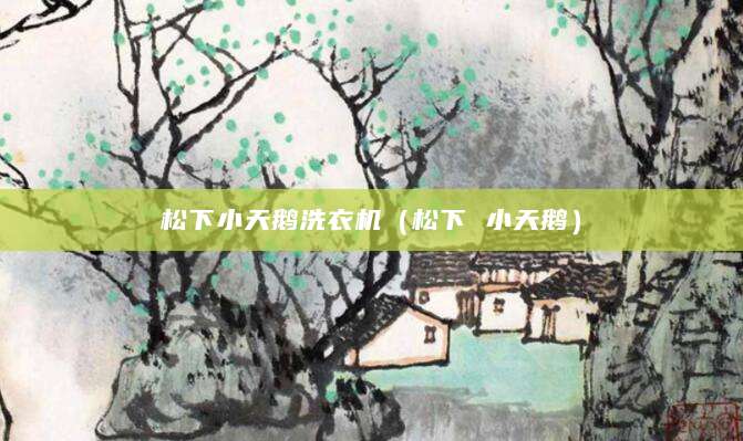 松下小天鹅洗衣机（松下 小天鹅）