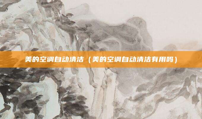美的空调自动清洁（美的空调自动清洁有用吗）