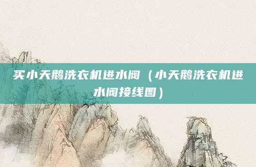 买小天鹅洗衣机进水阀（小天鹅洗衣机进水阀接线图）