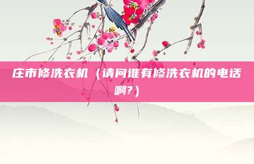 庄市修洗衣机（请问谁有修洗衣机的电话啊?）