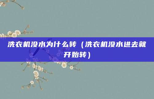洗衣机没水为什么转（洗衣机没水进去就开始转）