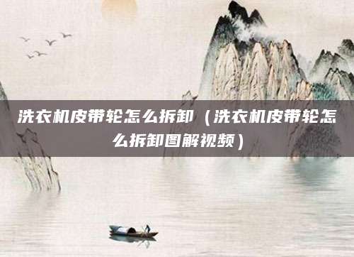洗衣机皮带轮怎么拆卸(洗衣机皮带轮怎么拆卸图解视频)