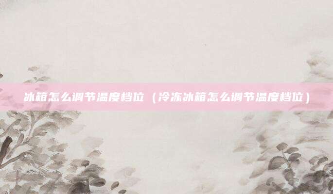 冰箱怎么调节温度档位(冷冻冰箱怎么调节温度档位)