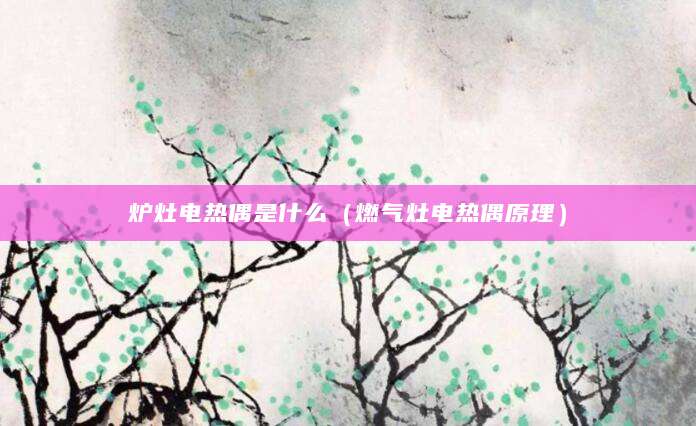炉灶电热偶是什么（燃气灶电热偶原理）
