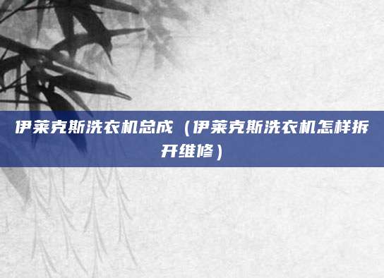 伊莱克斯洗衣机总成（伊莱克斯洗衣机怎样拆开维修）