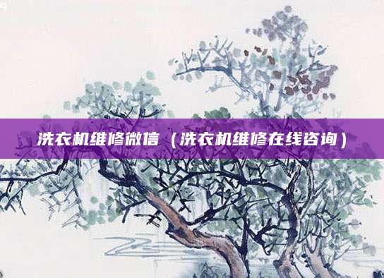 洗衣机维修微信（洗衣机维修在线咨询）
