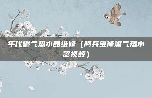 年代燃气热水器维修（阿兵维修燃气热水器视频）