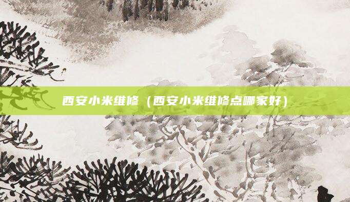 西安小米维修（西安小米维修点哪家好）