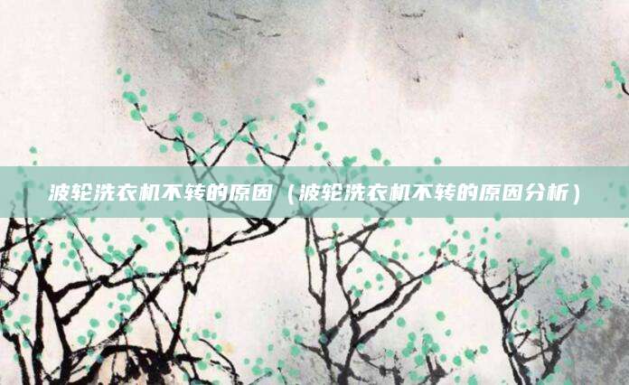 波轮洗衣机不转的原因（波轮洗衣机不转的原因分析）