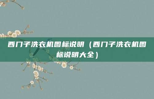西门子洗衣机图标说明（西门子洗衣机图标说明大全）