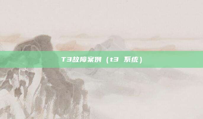 T3故障案例（t3 系统）