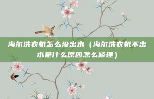 海尔洗衣机怎么没出水（海尔洗衣机不出水是什么原因怎么修理）