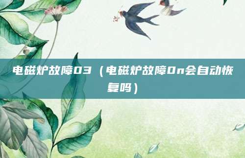 电磁炉故障03（电磁炉故障0n会自动恢复吗）