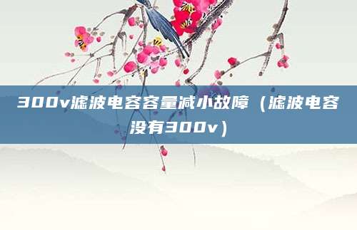 300v滤波电容容量减小故障（滤波电容没有300v）