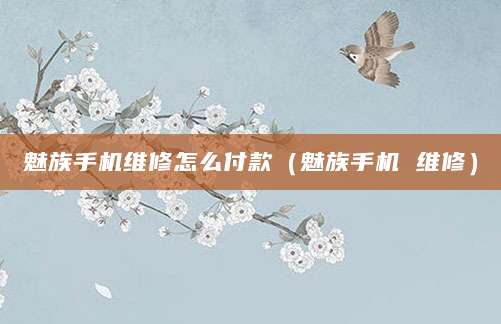 魅族手机维修怎么付款（魅族手机 维修）