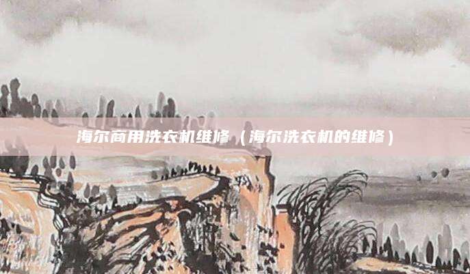海尔商用洗衣机维修（海尔洗衣机的维修）