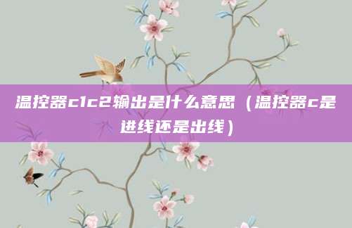 温控器c1c2输出是什么意思（温控器c是进线还是出线）