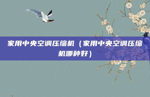 家用中央空调压缩机（家用中央空调压缩机哪种好）