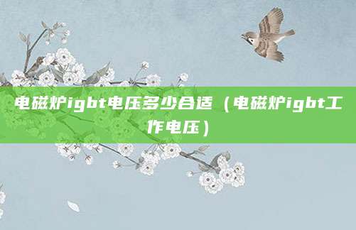 电磁炉igbt电压多少合适（电磁炉igbt工作电压）