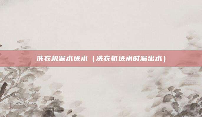 洗衣机漏水进水（洗衣机进水时漏出水）