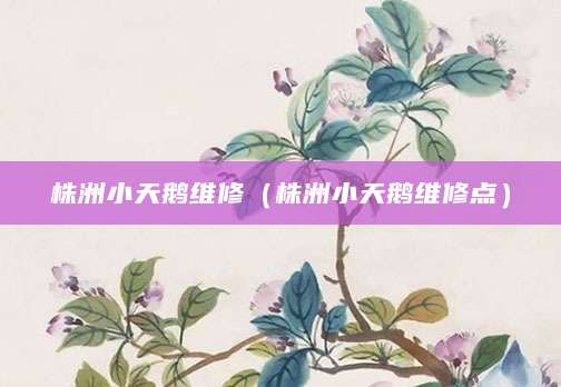 株洲小天鹅维修（株洲小天鹅维修点）