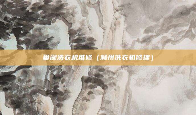 巢湖洗衣机维修（滁州洗衣机修理）