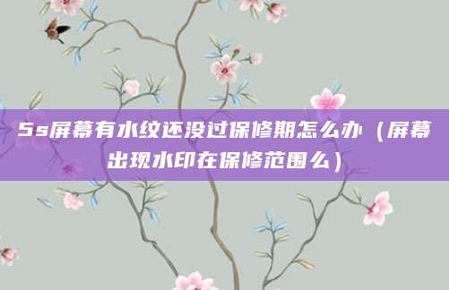 5s屏幕有水纹还没过保修期怎么办（屏幕出现水印在保修范围么）