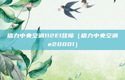 格力中央空调112E1故障（格力中央空调e20001）